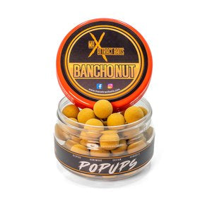 Bancho Nut Pop Ups MTH