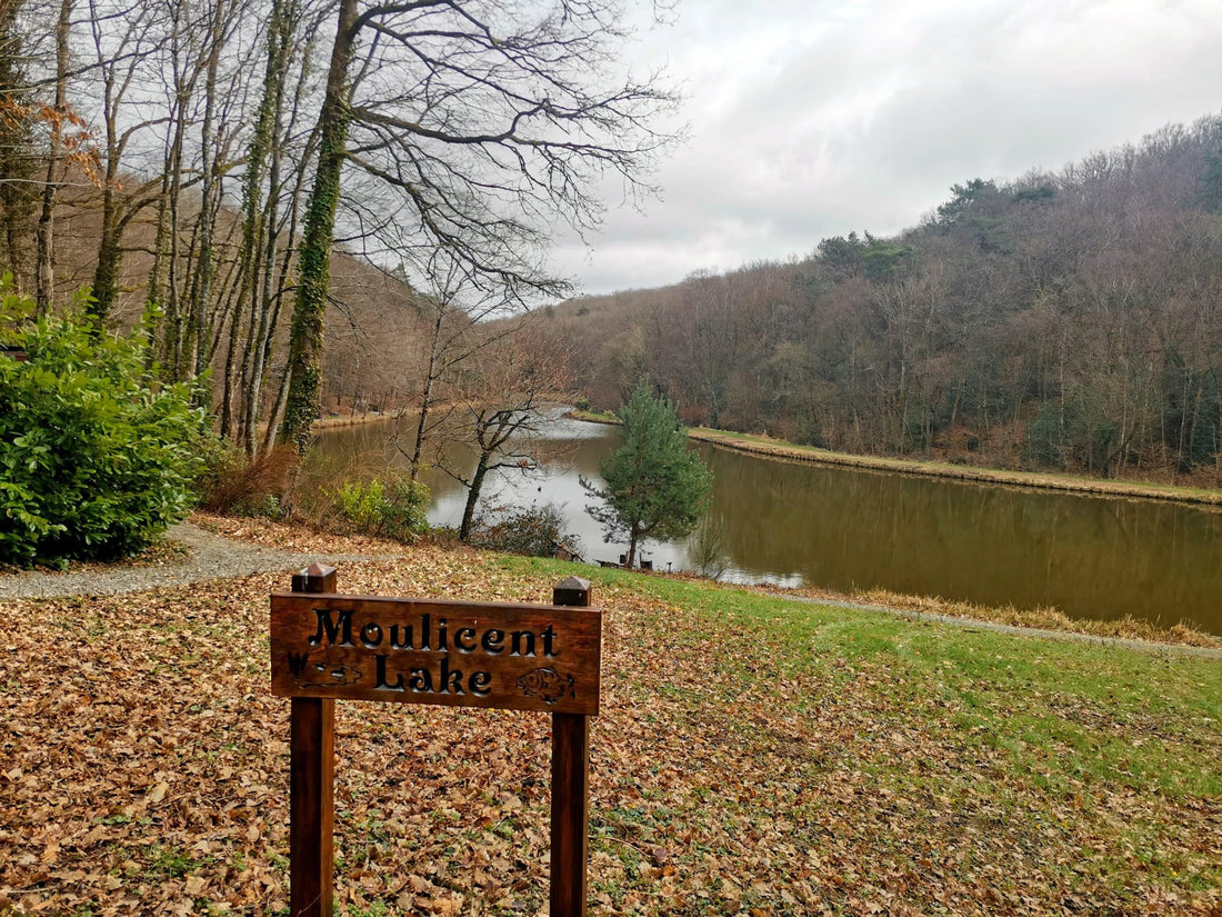 Moulicent: Monsters and Memories W// Mat Holland