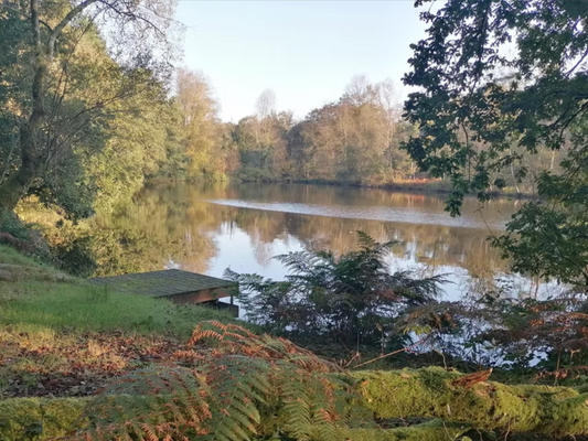 Etangs de Kerbidic April 2026